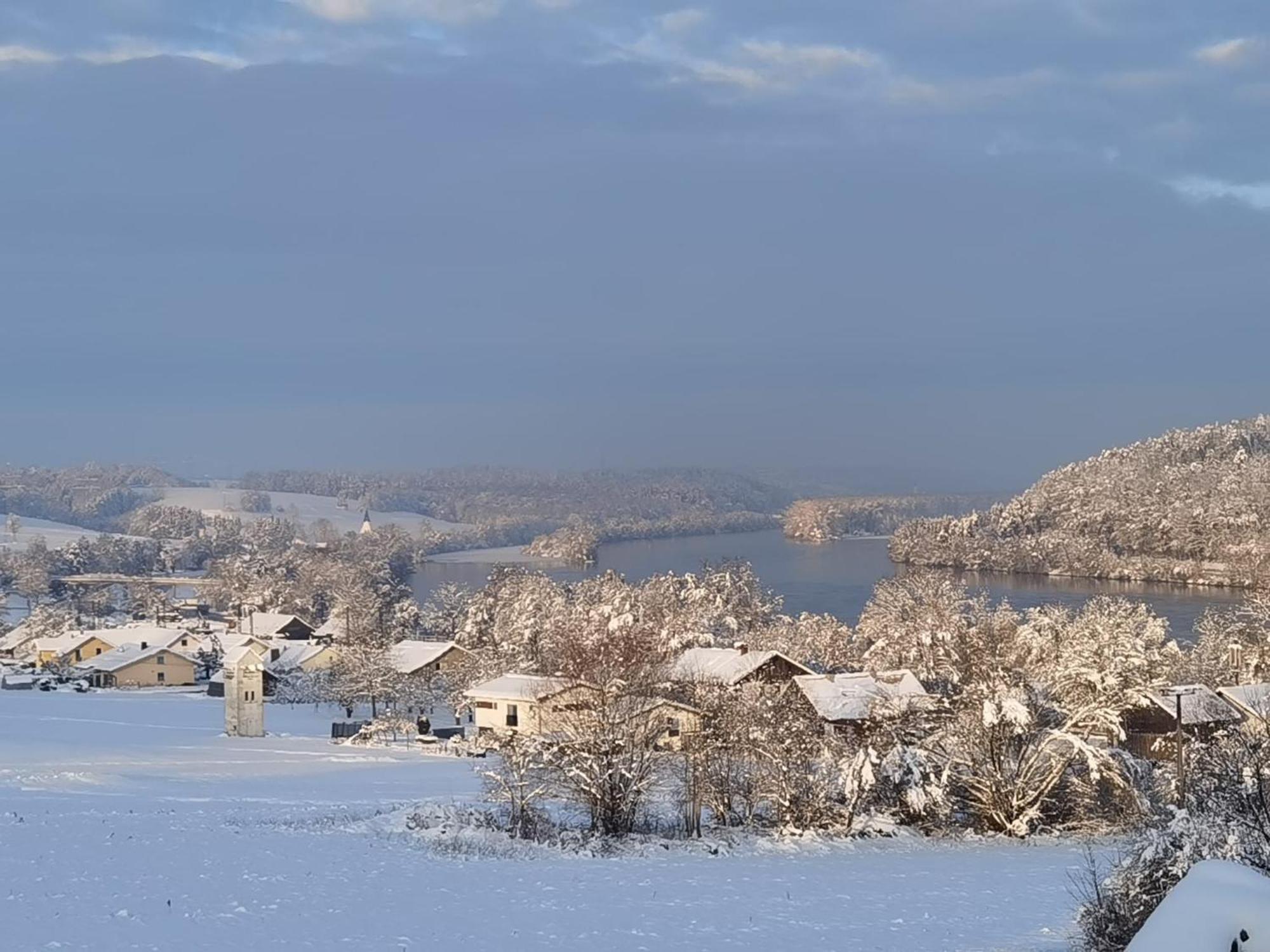 Apartmán Mitterfelder Donaublick Vilshofen an der Donau Exteriér fotografie